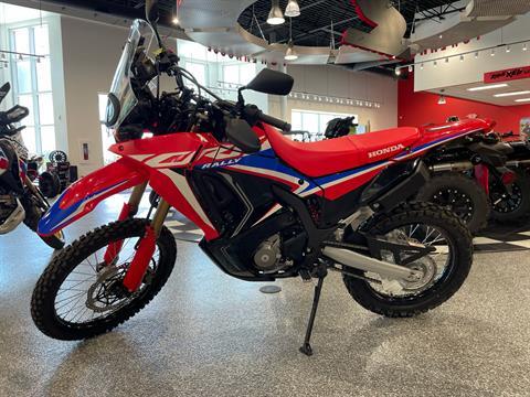 2023 Honda CRF300L Rally in Fairview Heights, Illinois - Photo 1