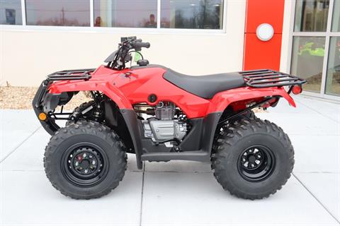2024 Honda FourTrax Recon in Fairview Heights, Illinois - Photo 1