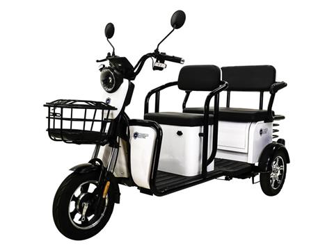 2023 Massimo MGC E-Trike in Harrison, Michigan