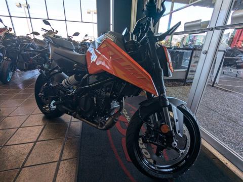 2024 KTM 250 Duke in Sacramento, California - Photo 3