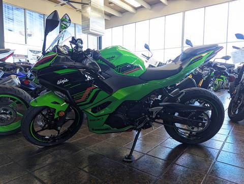 2024 Kawasaki Ninja 500 KRT Edition in Sacramento, California - Photo 4