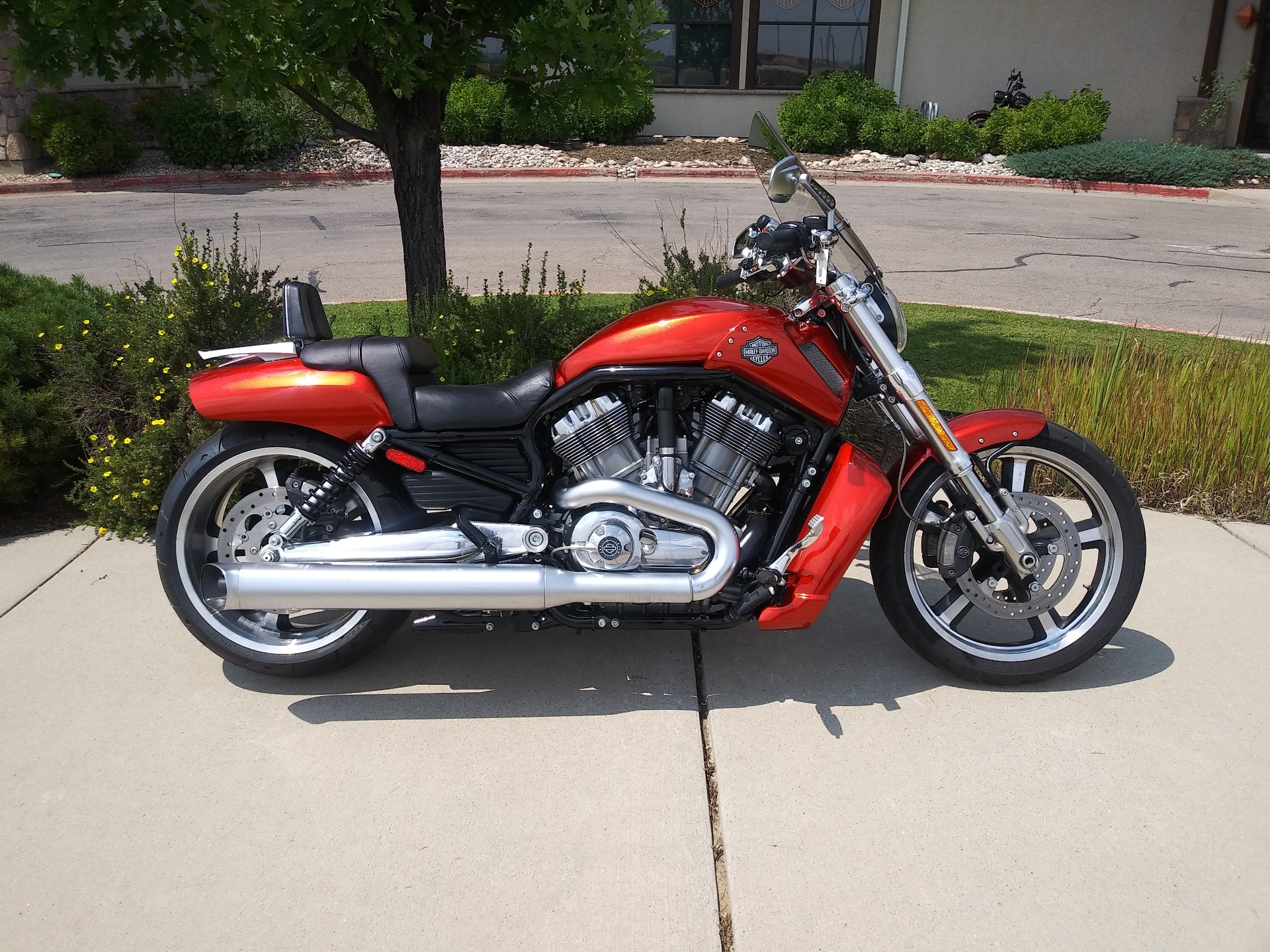 2013 Harley-Davidson V-Rod Muscle® in Loveland, Colorado - Photo 1