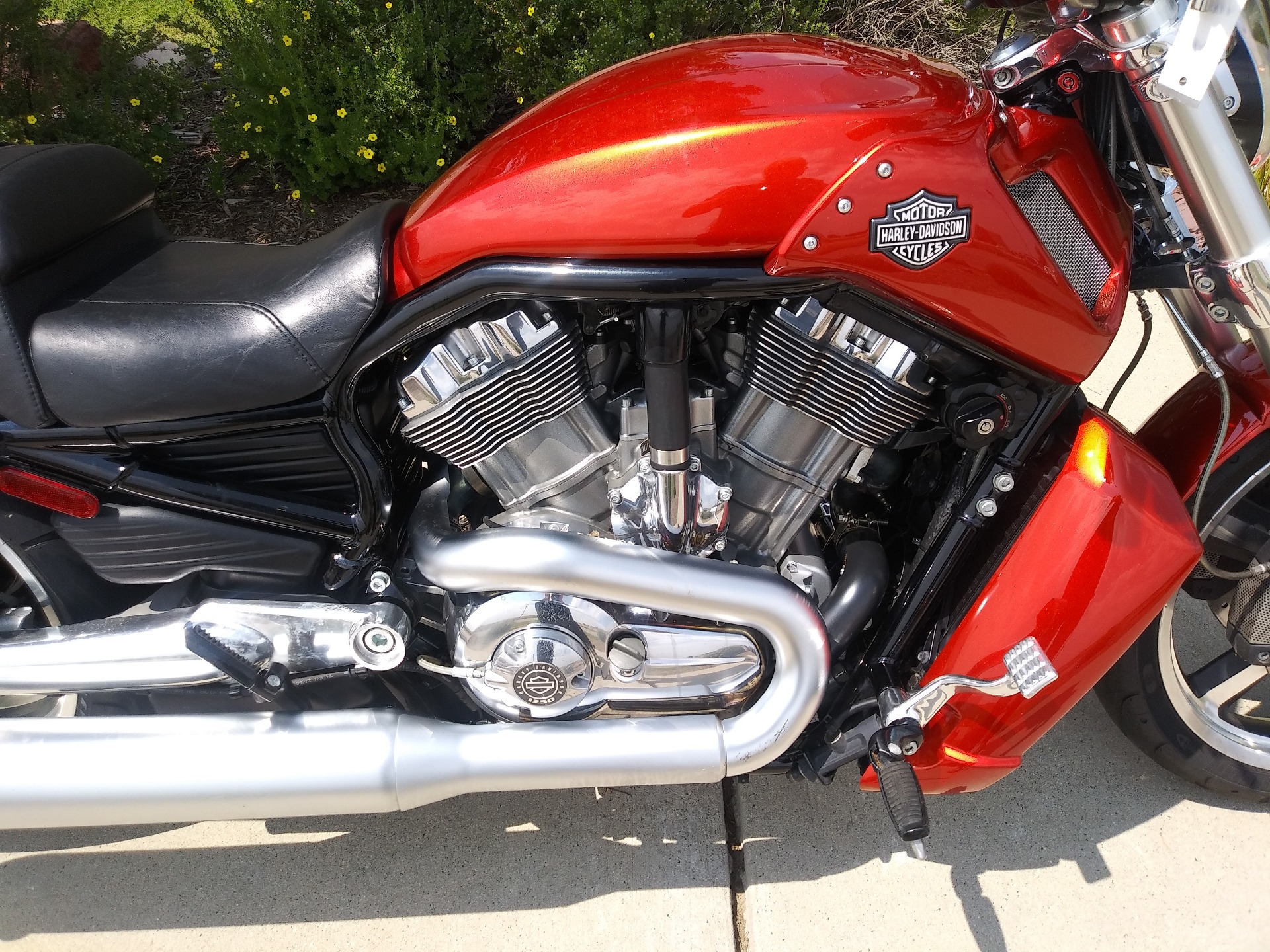 2013 Harley-Davidson V-Rod Muscle® in Loveland, Colorado - Photo 3