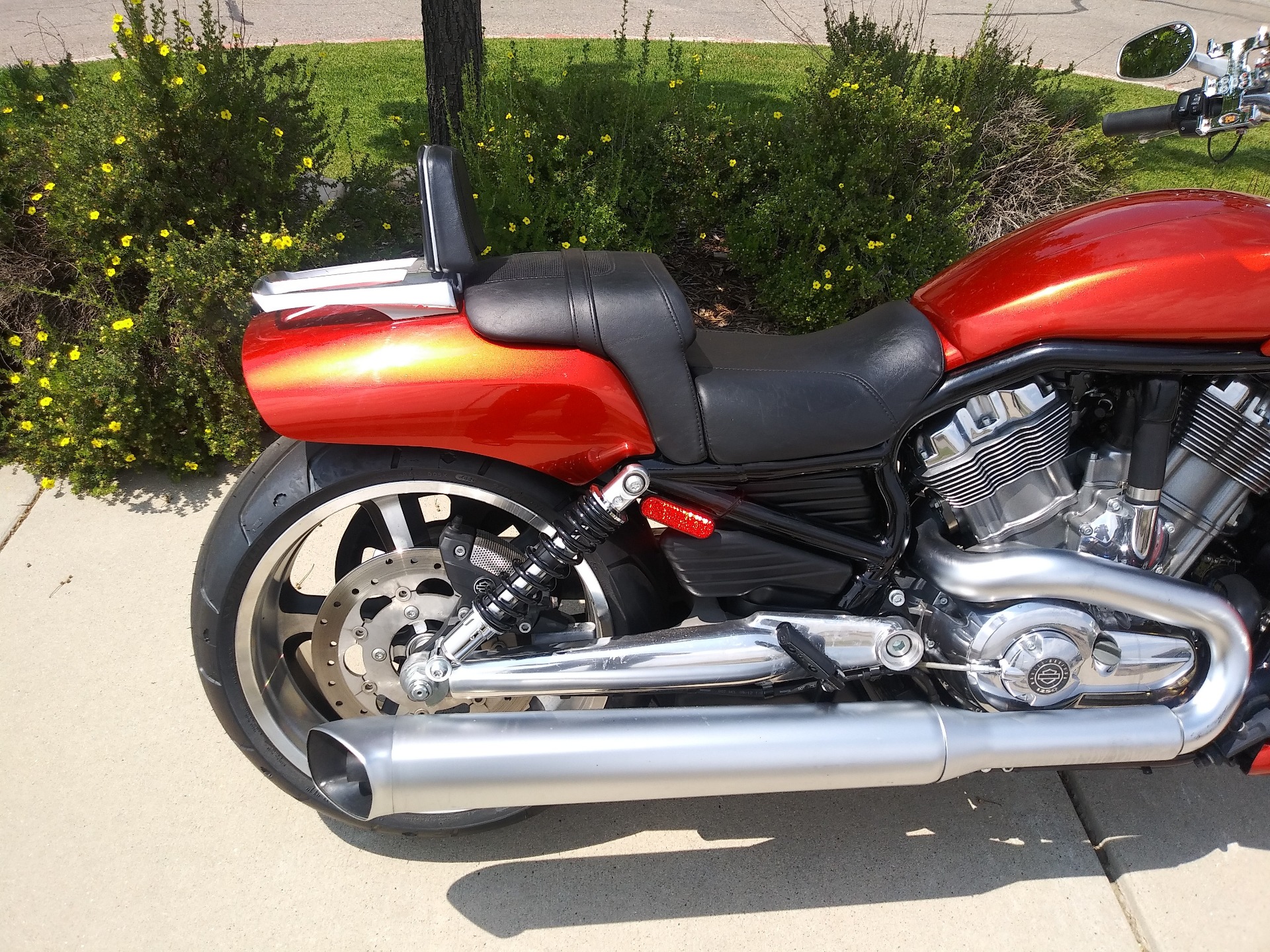 2013 Harley-Davidson V-Rod Muscle® in Loveland, Colorado - Photo 4