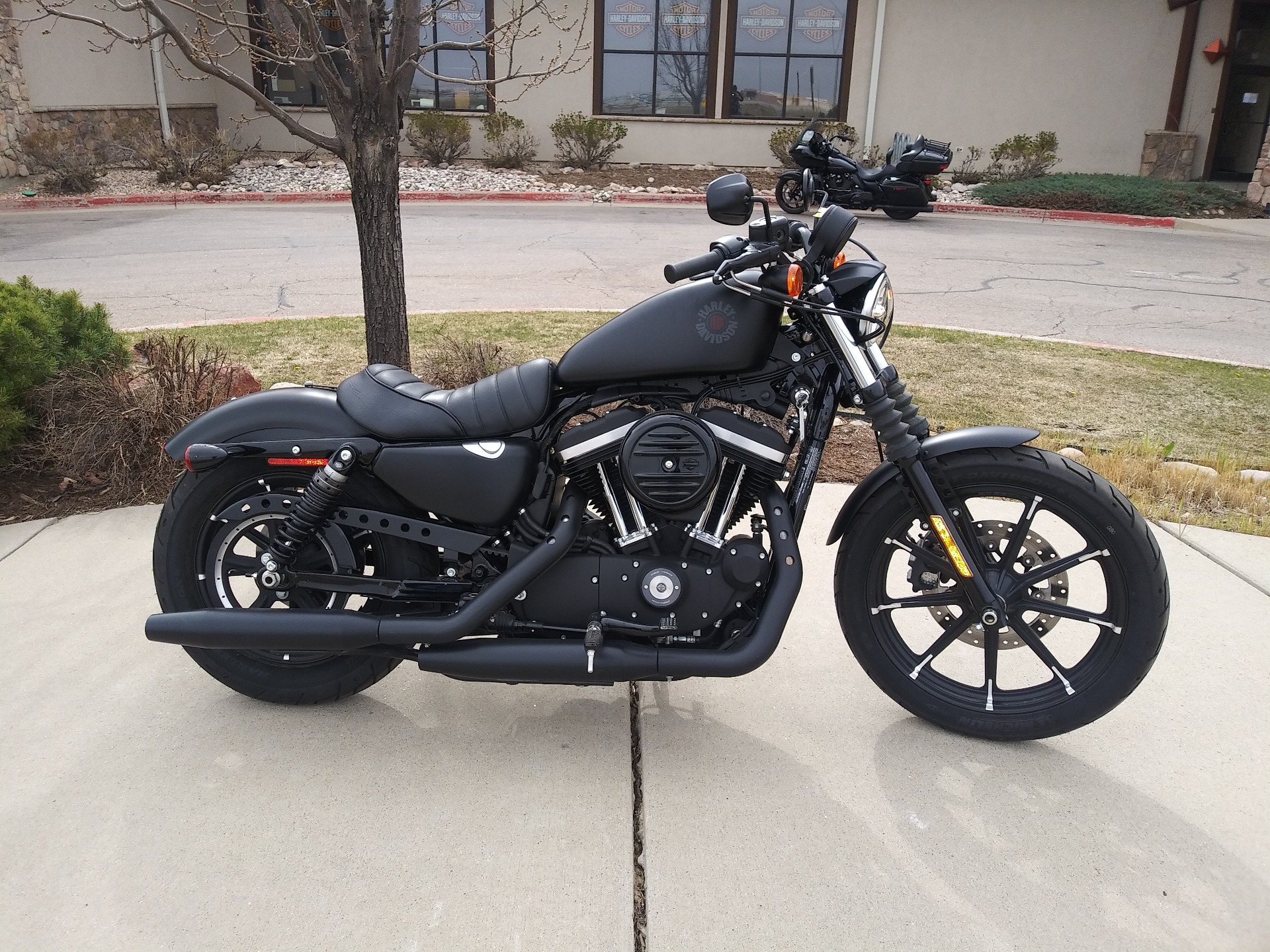 2019 Harley-Davidson Iron 883™ in Loveland, Colorado - Photo 1
