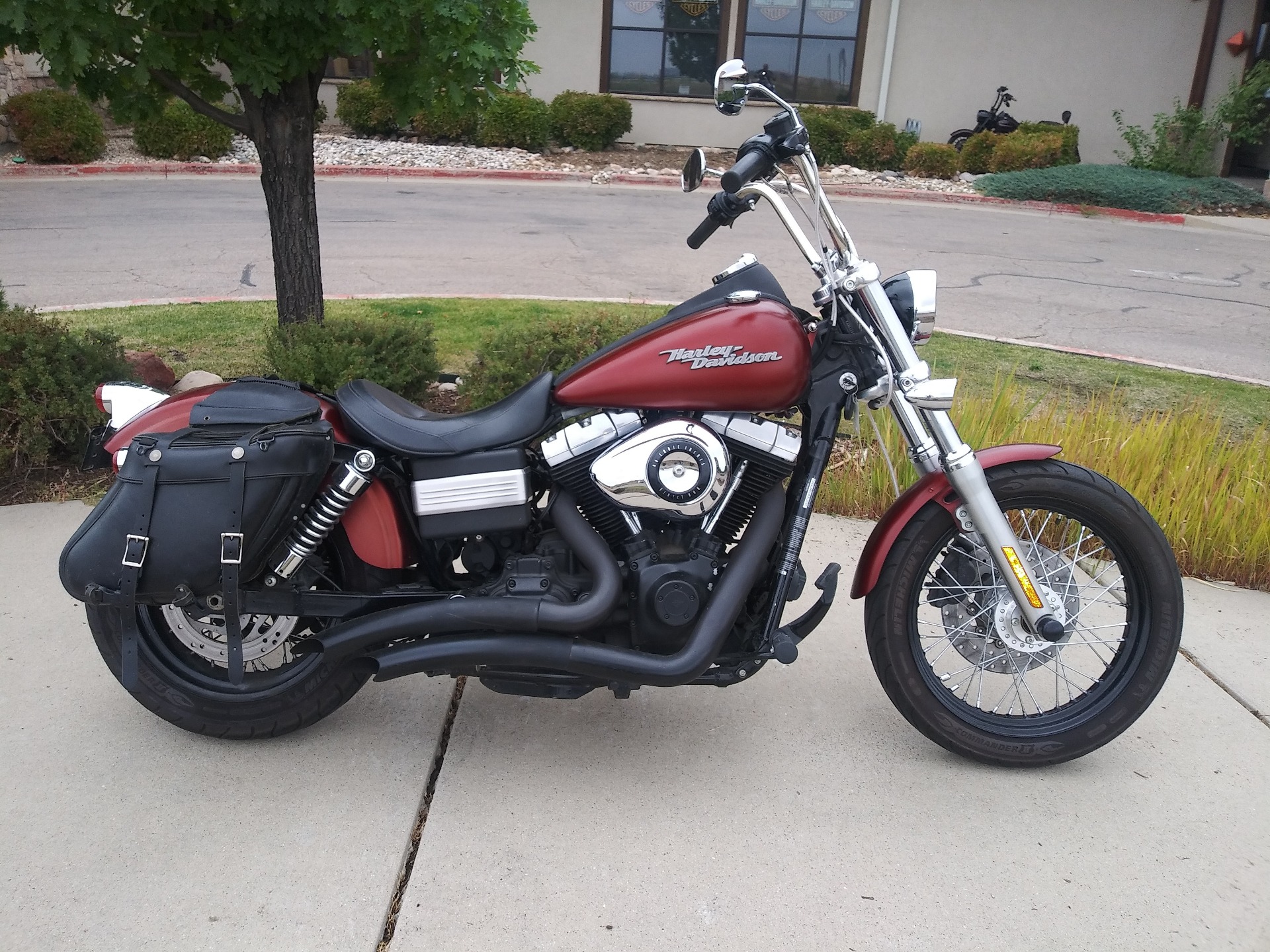 2009 Harley-Davidson Dyna® Street Bob® in Loveland, Colorado - Photo 1