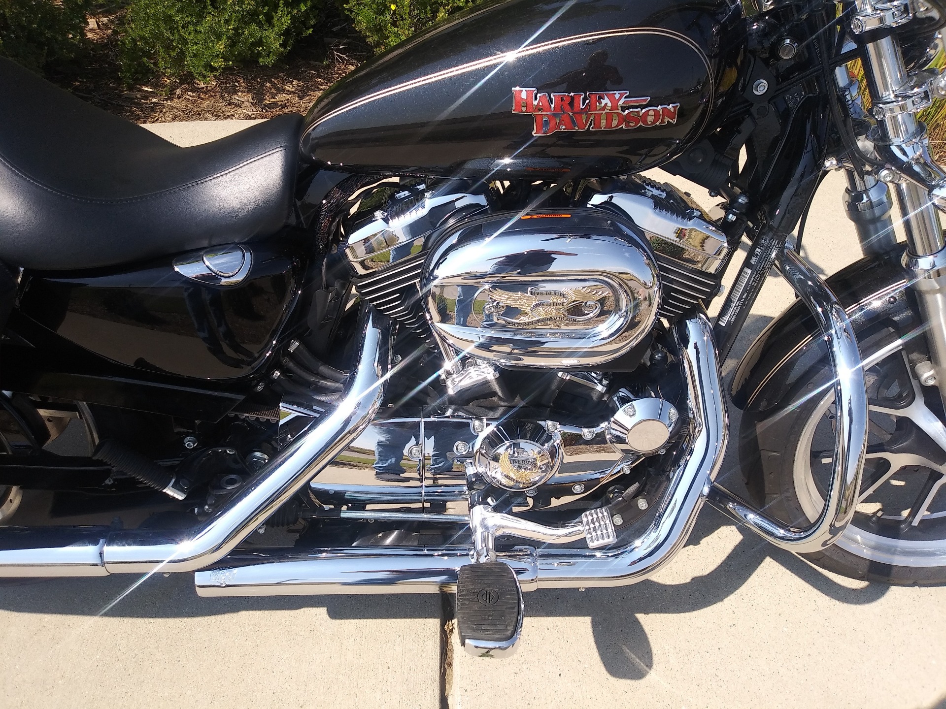 2016 Harley-Davidson SuperLow® 1200T in Loveland, Colorado - Photo 3
