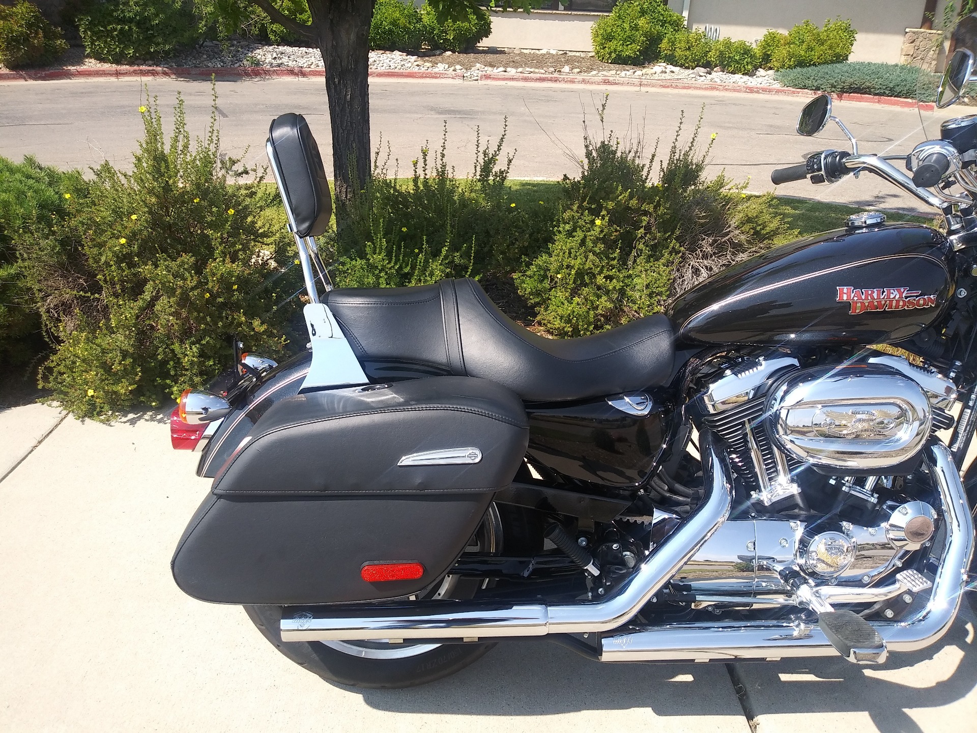 2016 Harley-Davidson SuperLow® 1200T in Loveland, Colorado - Photo 4