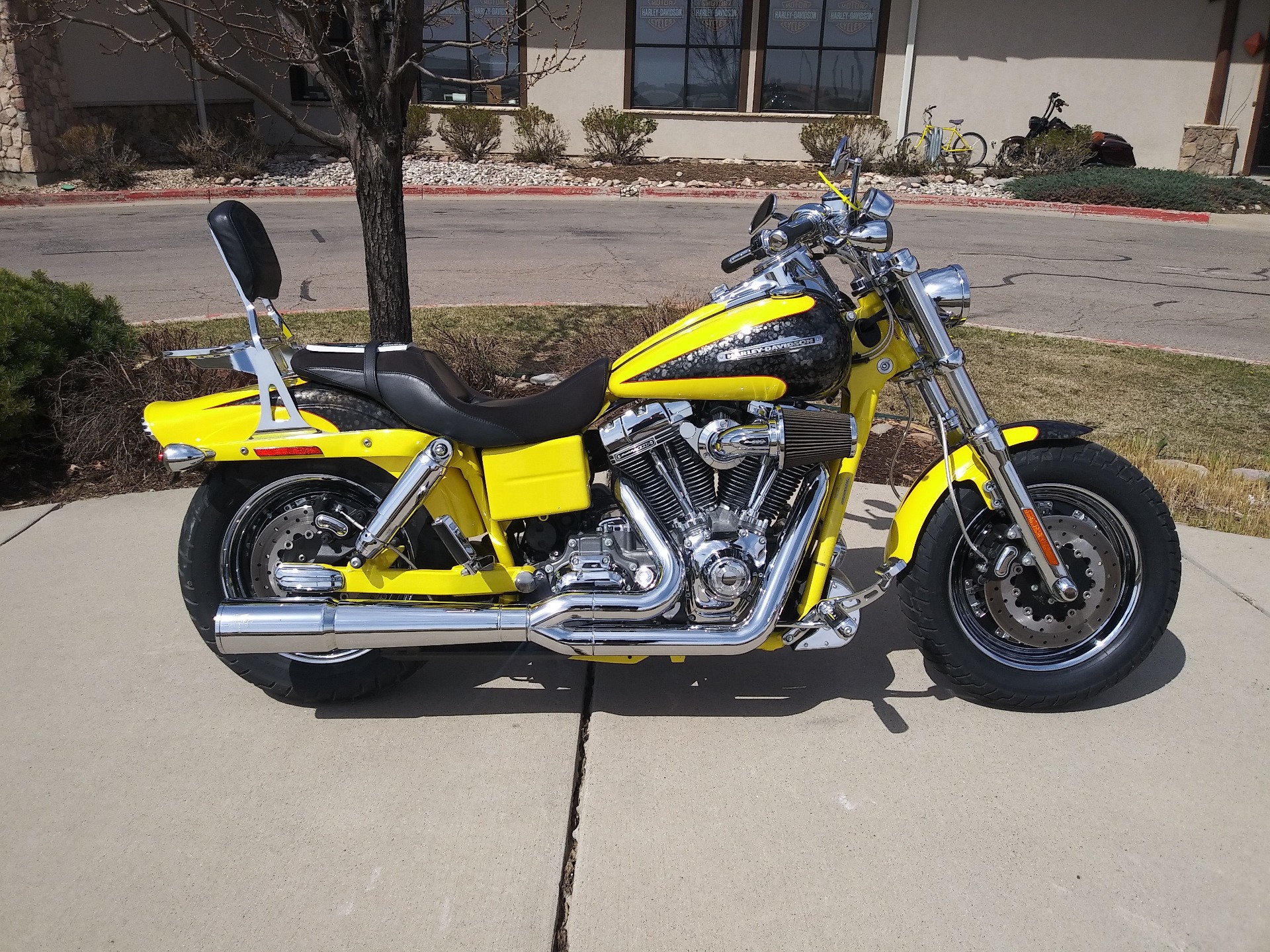2009 Harley-Davidson CVO™ Dyna® Fat Bob® in Loveland, Colorado - Photo 1