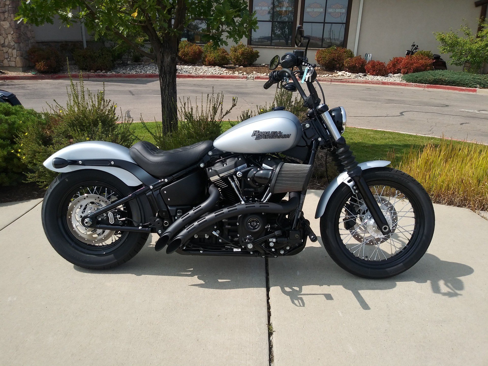 used street bob