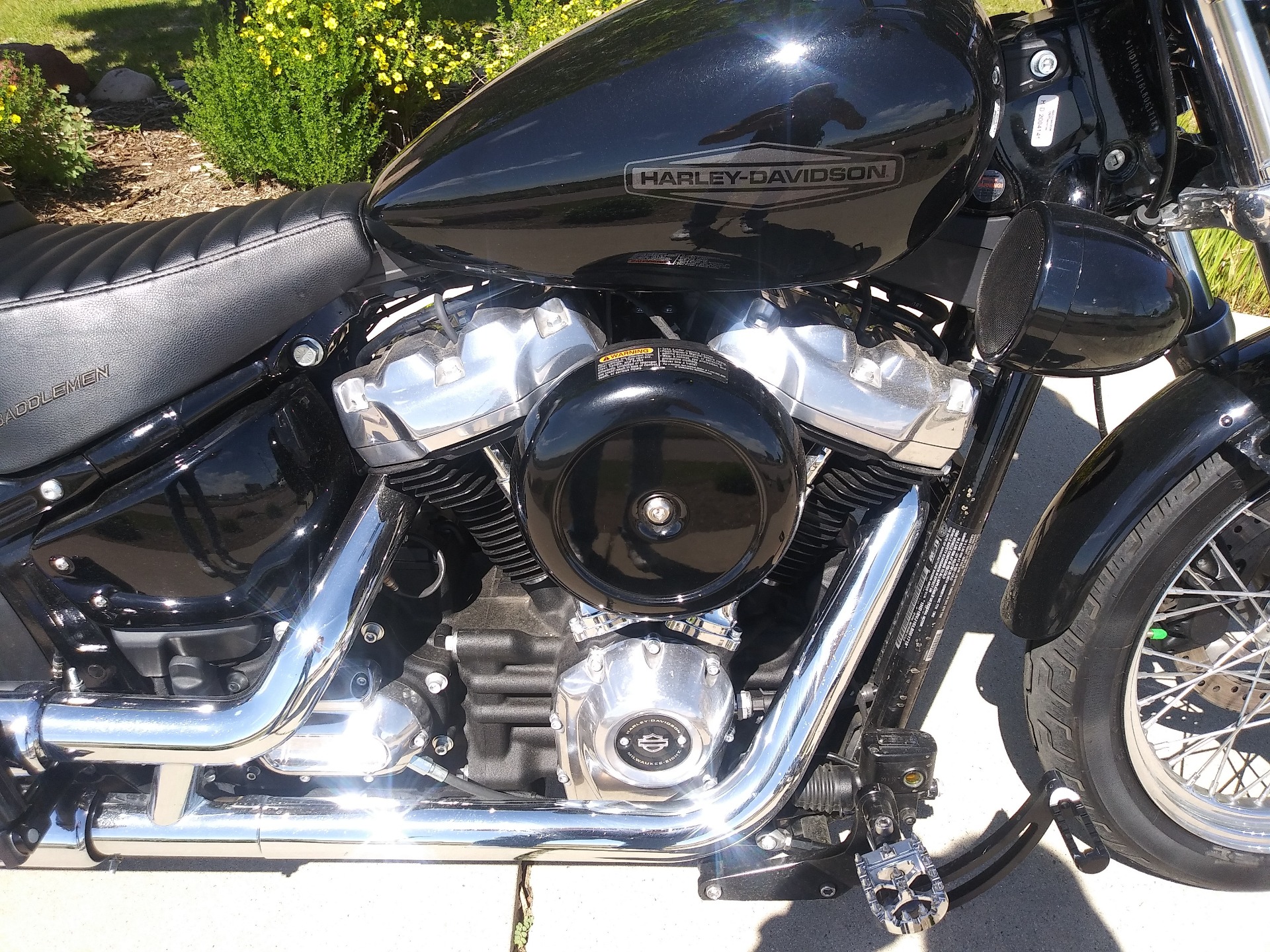 2020 Harley-Davidson Softail® Standard in Loveland, Colorado - Photo 5