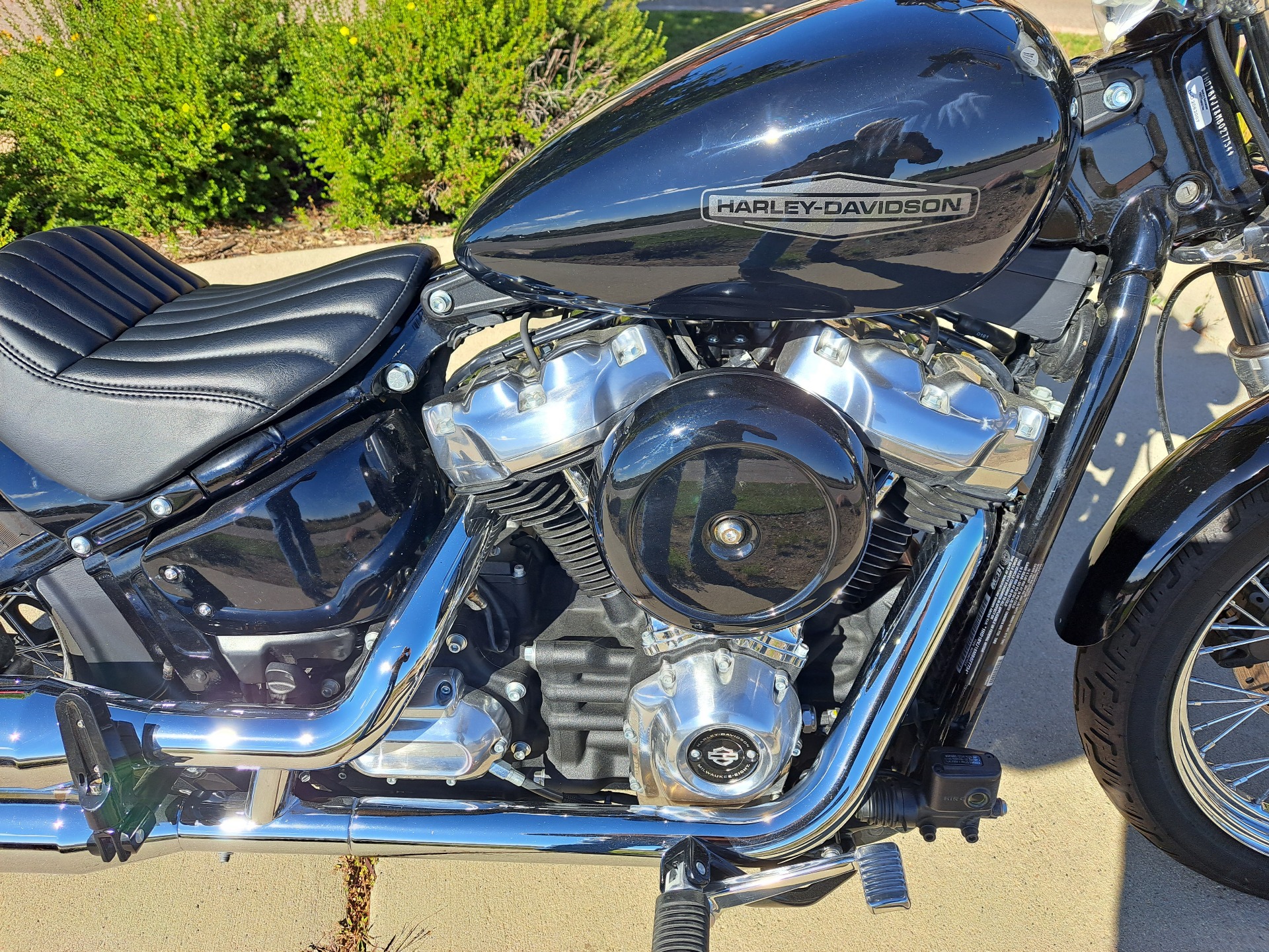 2021 Harley-Davidson Softail® Standard in Loveland, Colorado - Photo 5