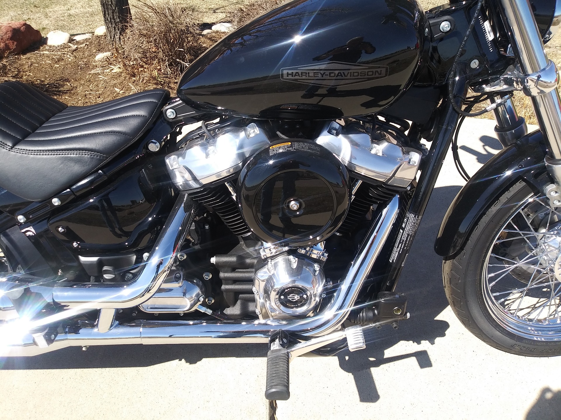 2021 Harley-Davidson Softail® Standard in Loveland, Colorado - Photo 5