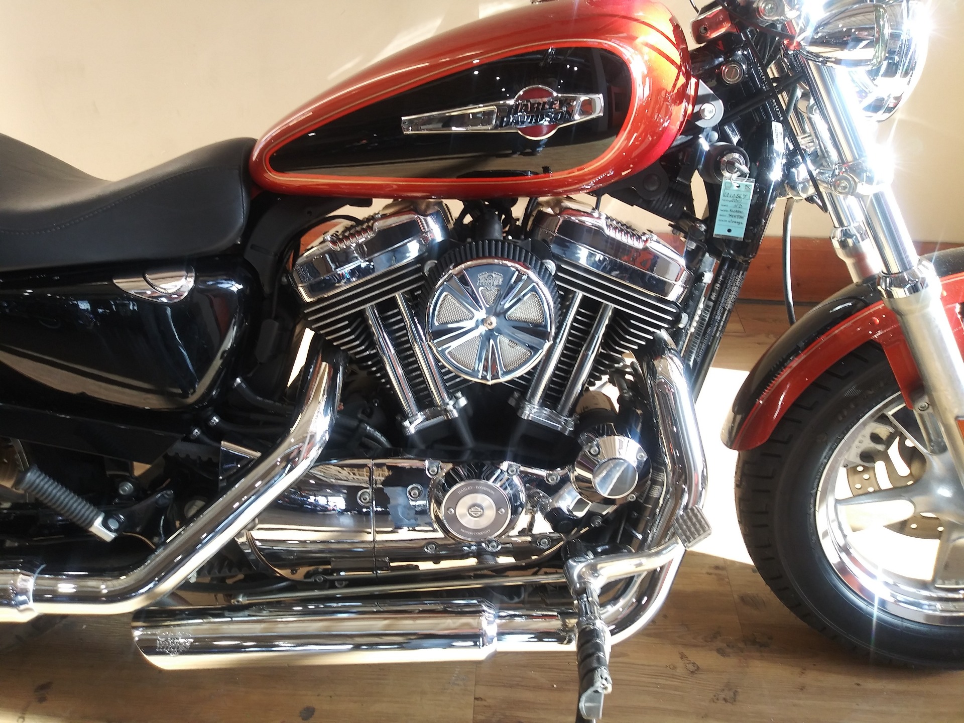 2011 Harley-Davidson Sportster® 1200 Custom in Loveland, Colorado - Photo 2