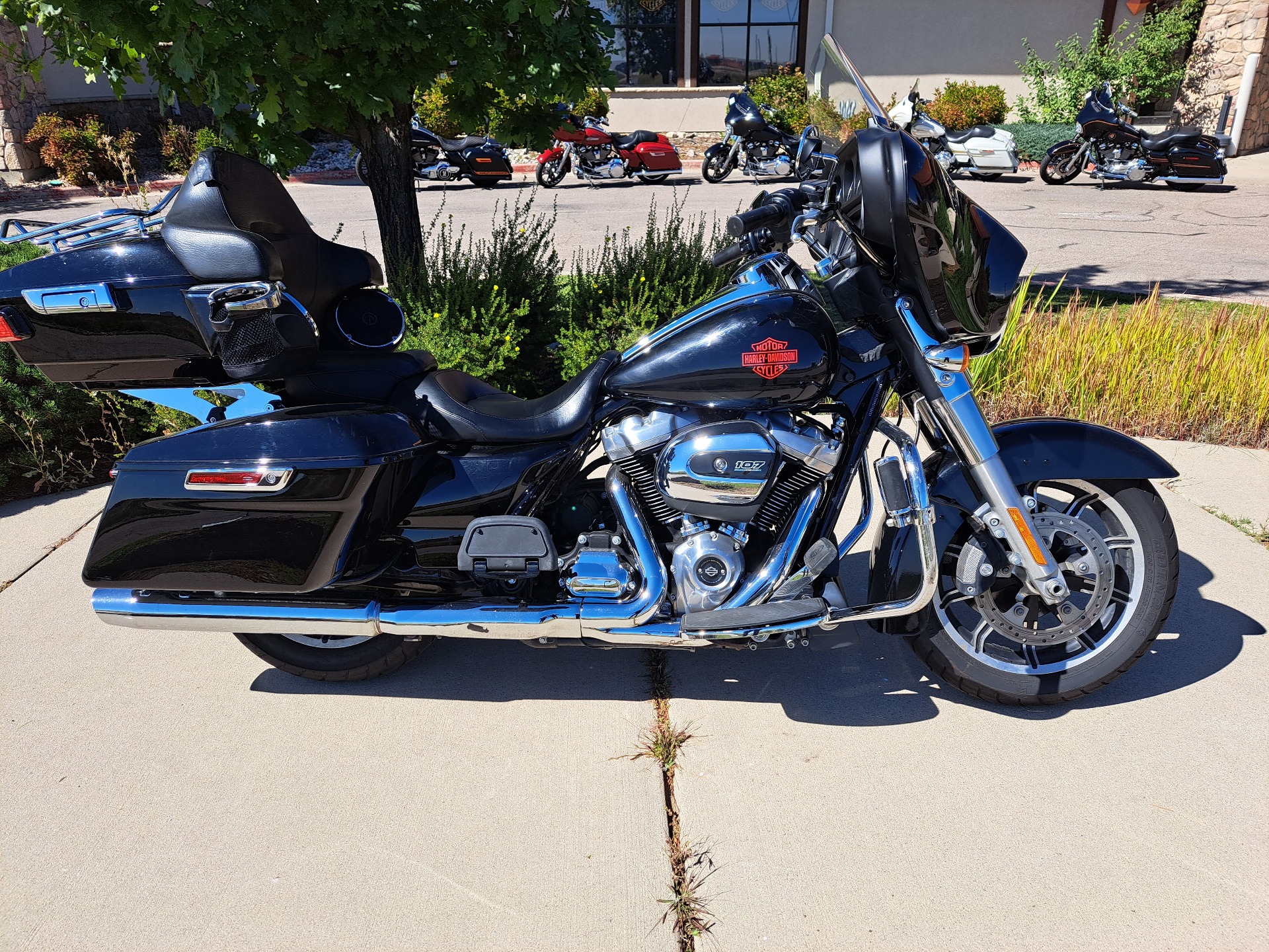 2019 Harley-Davidson Electra Glide® Standard in Loveland, Colorado - Photo 1