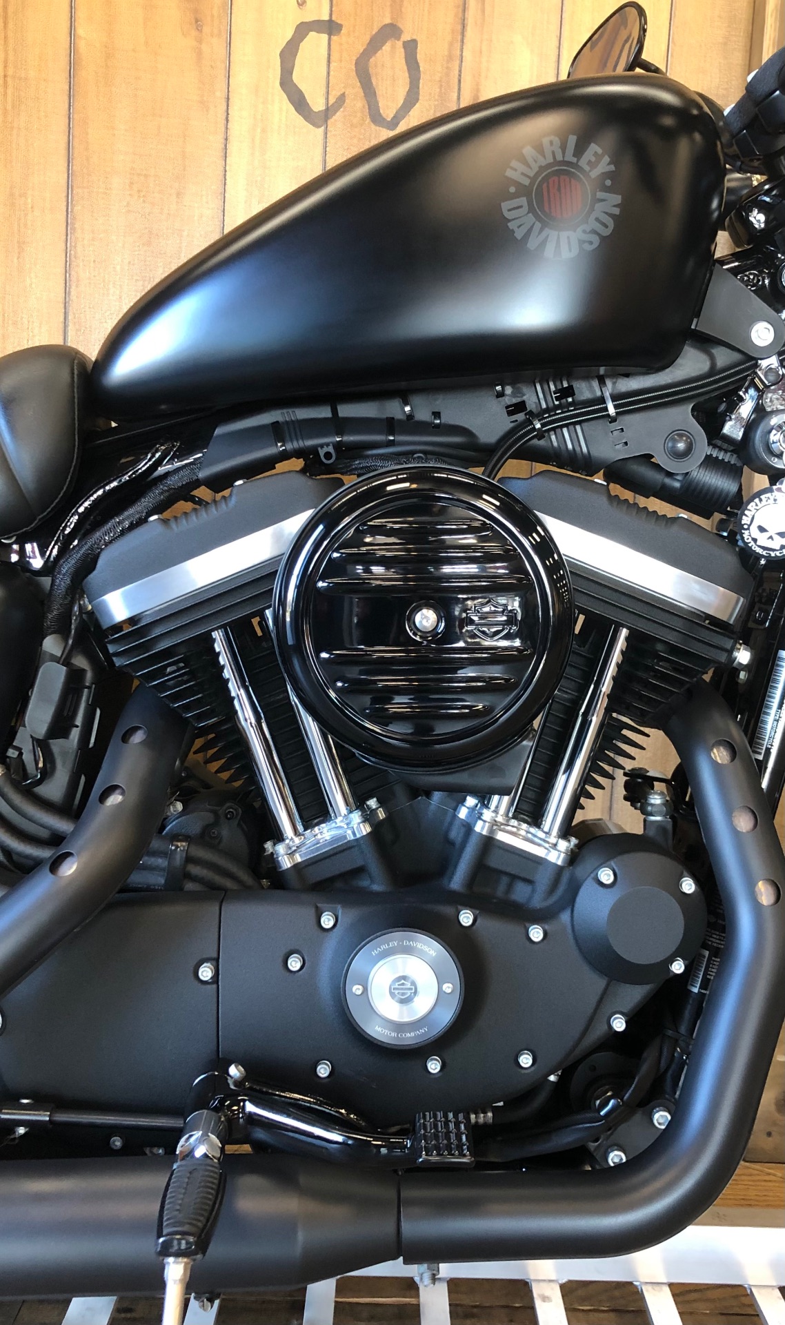 2019 Harley-Davidson Iron 883 in Harrisburg, Pennsylvania - Photo 2