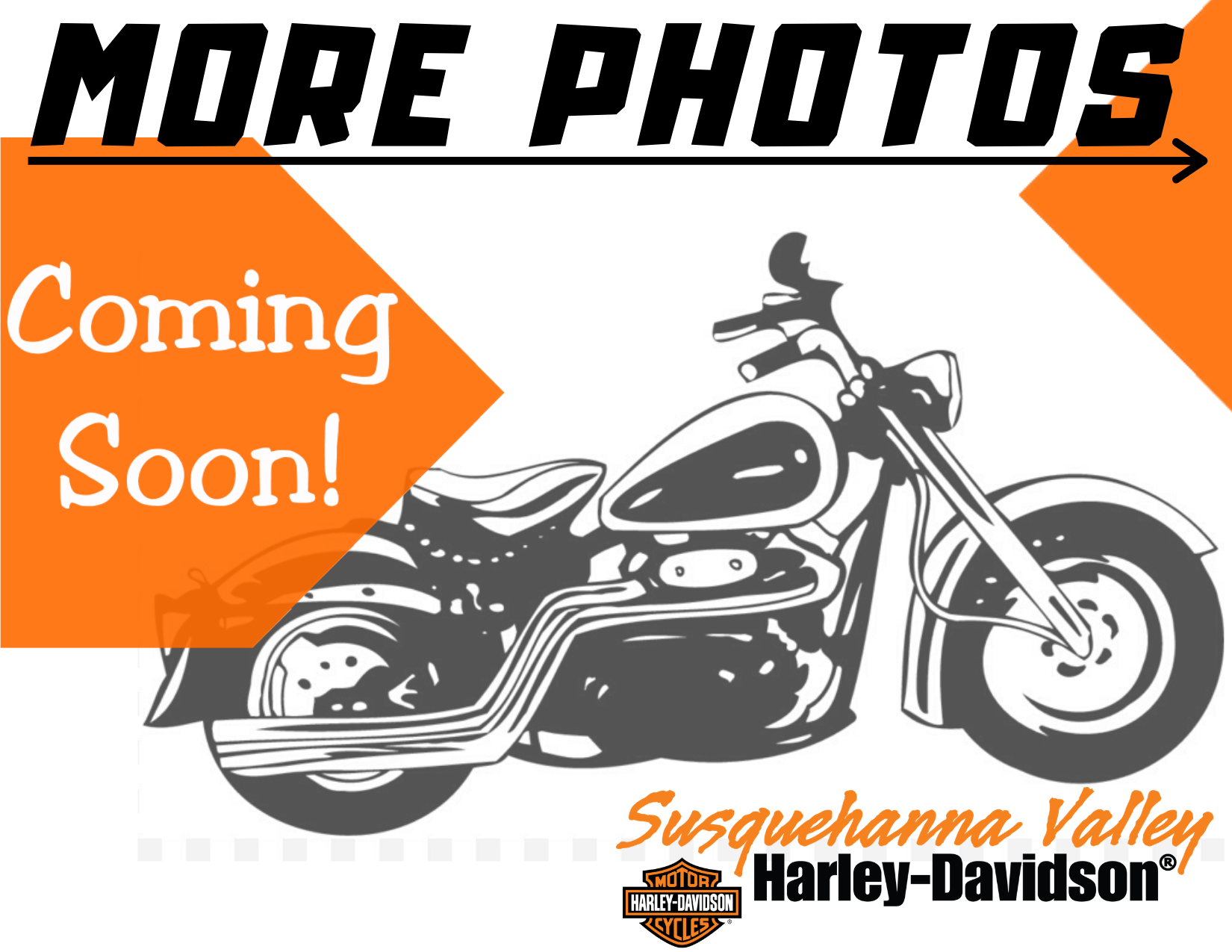 2023 Harley-Davidson Street Glide ST in Harrisburg, Pennsylvania - Photo 5