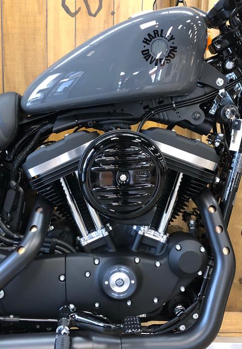 2022 Harley-Davidson Iron 883 in Harrisburg, Pennsylvania - Photo 2