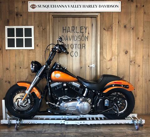 2015 Harley-Davidson Slim in Harrisburg, Pennsylvania - Photo 6