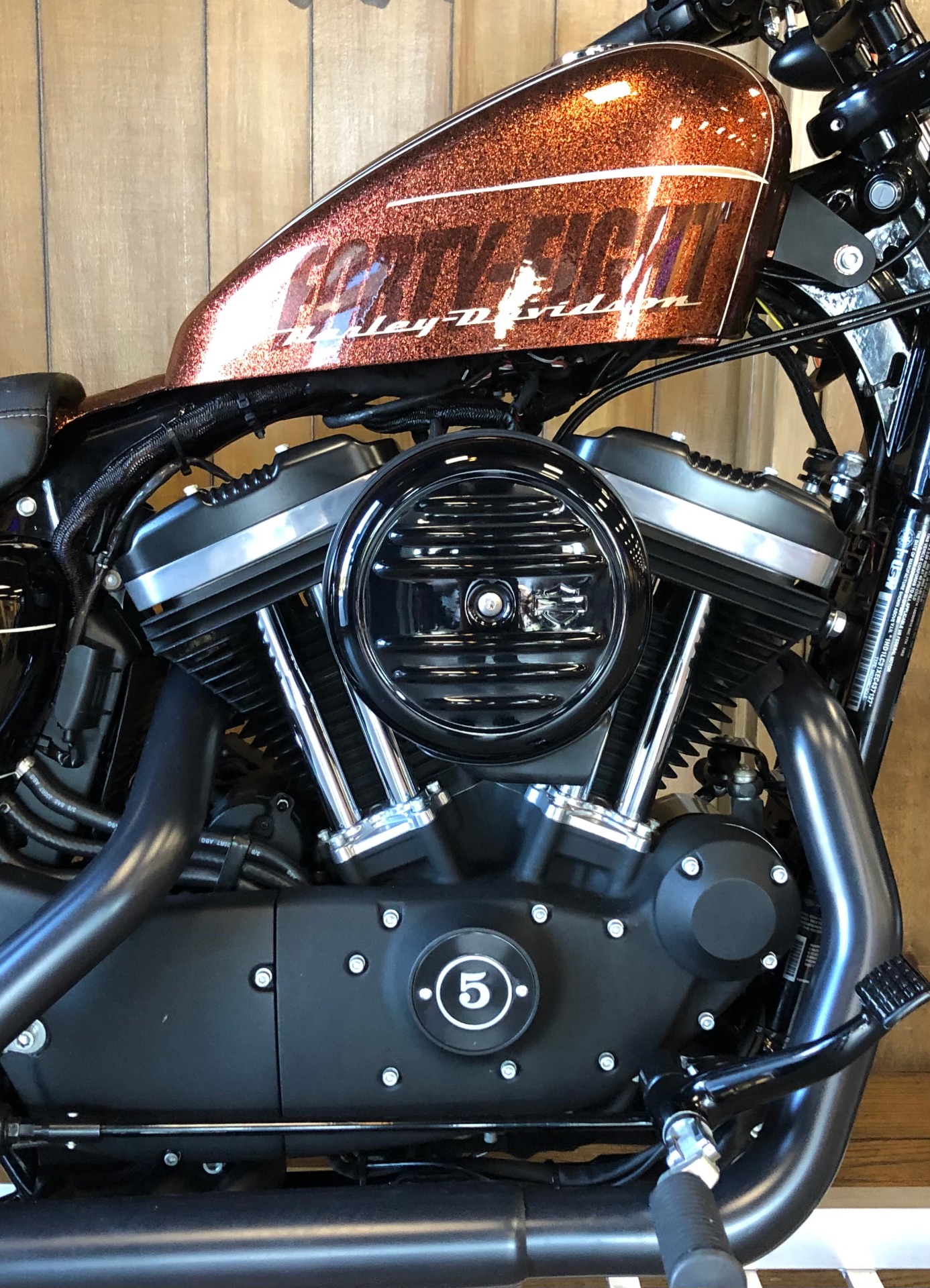 2014 Harley-Davidson Forty-Eight in Harrisburg, Pennsylvania - Photo 2