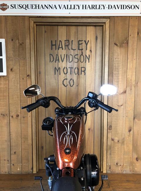 2014 Harley-Davidson Forty-Eight in Harrisburg, Pennsylvania - Photo 9