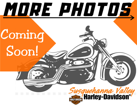 2022 Harley-Davidson Nightster in Harrisburg, Pennsylvania - Photo 5