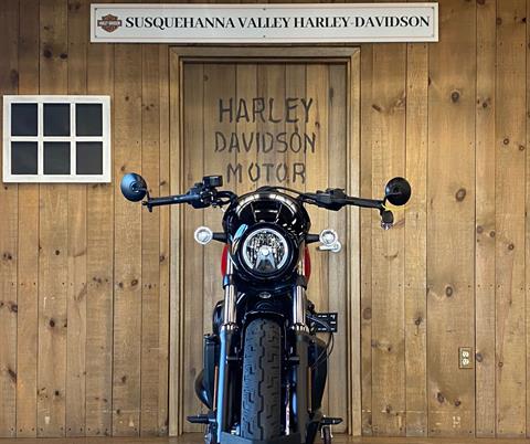 2022 Harley-Davidson Nightster in Harrisburg, Pennsylvania - Photo 3