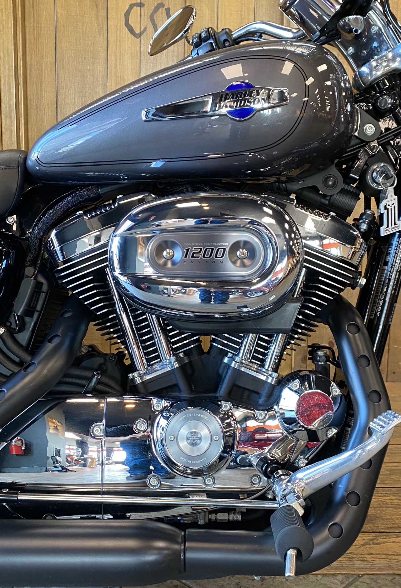 2016 Harley-Davidson 1200 Custom in Harrisburg, Pennsylvania - Photo 2