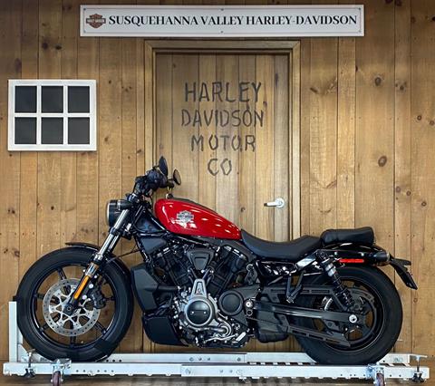 2023 Harley-Davidson Nightster in Harrisburg, Pennsylvania - Photo 4