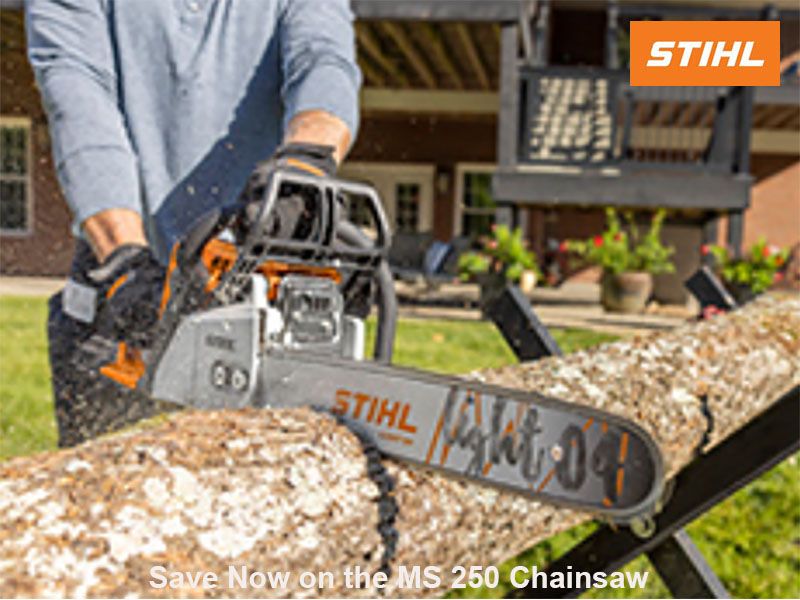 Stihl - Save Now on the MS 250 Chainsaw