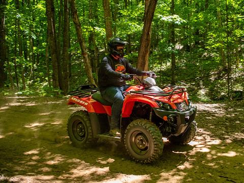 2024 Argo Xplorer XR 500 in Chandler, Oklahoma - Photo 10