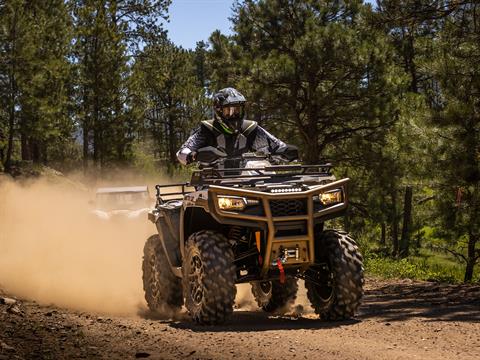 2023 Arctic Cat Alterra 600 Black Hills Edition in Pikeville, Kentucky - Photo 3