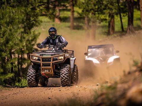 2023 Arctic Cat Alterra 600 Black Hills Edition in Pikeville, Kentucky - Photo 11
