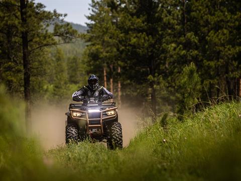 2023 Arctic Cat Alterra 600 Black Hills Edition in Pikeville, Kentucky - Photo 14