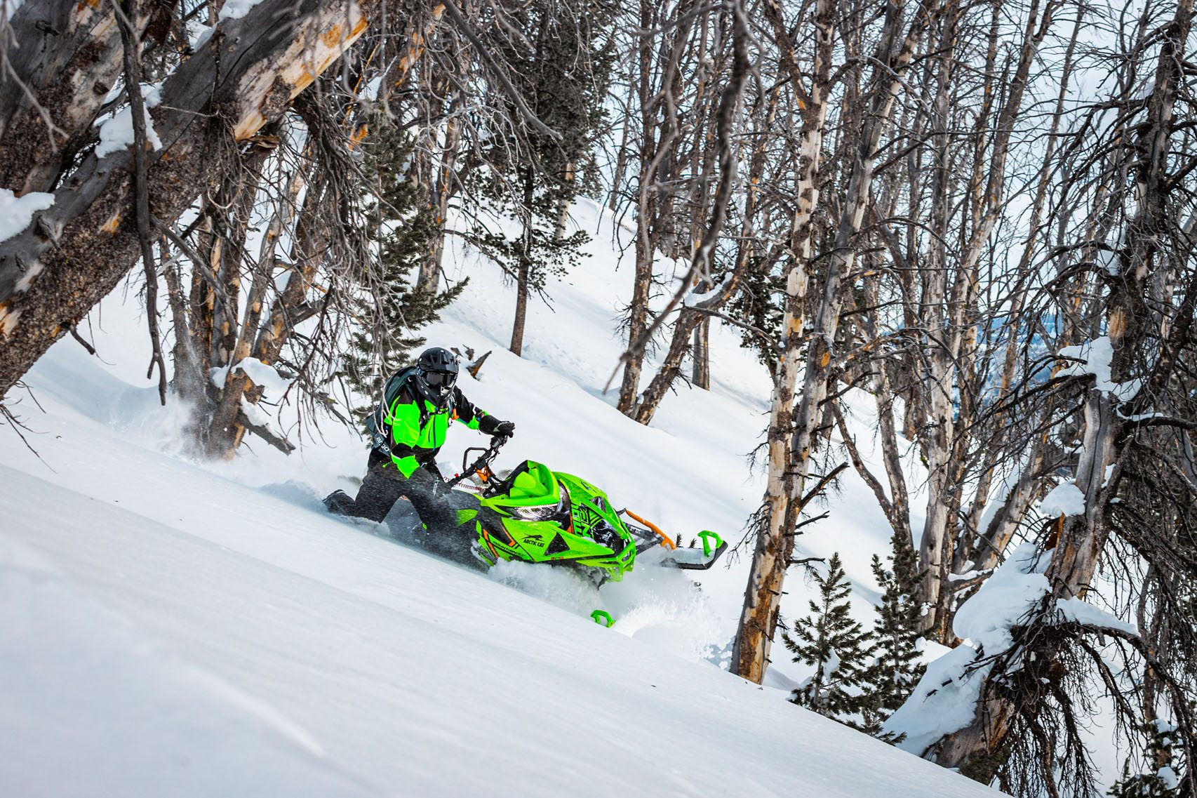 2023 Arctic Cat M 8000 Mountain Cat Alpha One 146 2.6 ES in Lincoln, Maine - Photo 3