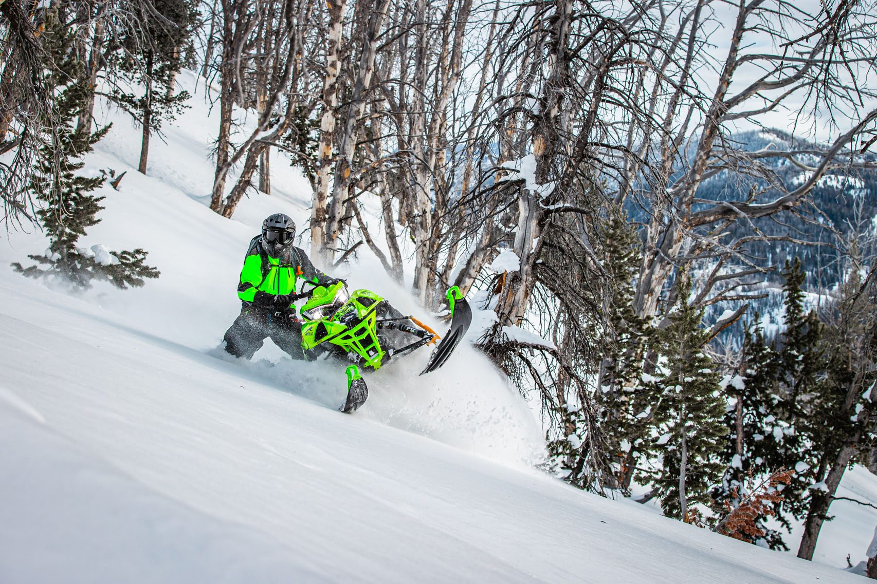 2023 Arctic Cat M 8000 Mountain Cat Alpha One 165 3 ATAC in Barrington, New Hampshire - Photo 15