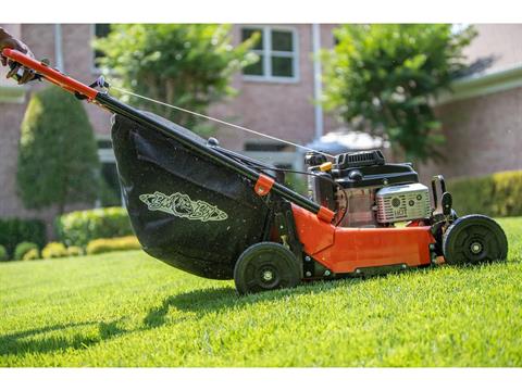 Bad Boy Mowers Push Mower 21 in. Kawasaki FJ180 179 cc in Knoxville, Tennessee - Photo 3