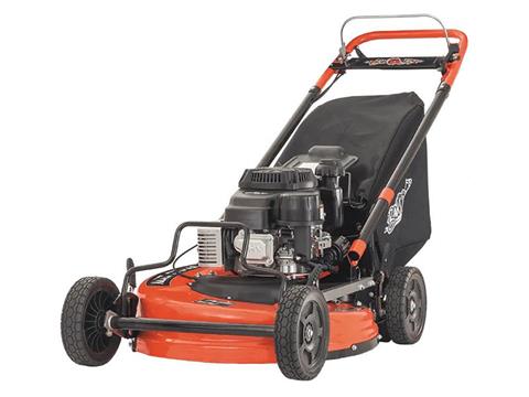 Bad Boy Mowers Push Mower 25 in. Kawasaki FJ180 179 cc in Knoxville, Tennessee
