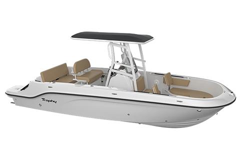 2025 Bayliner T22CC