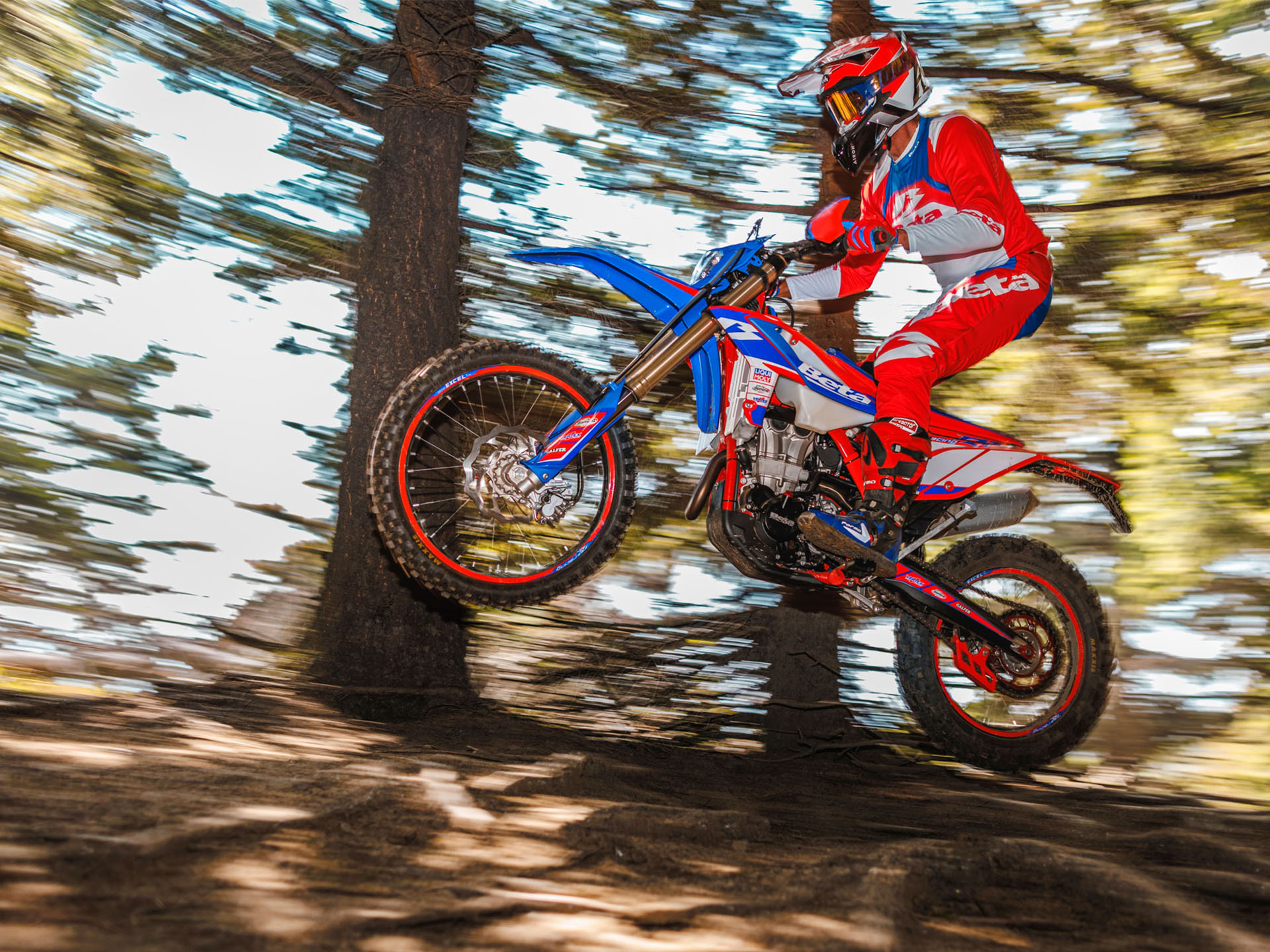 2024 Beta 350 RR Race Edition 4-Stroke in Pinedale, Wyoming - Photo 12