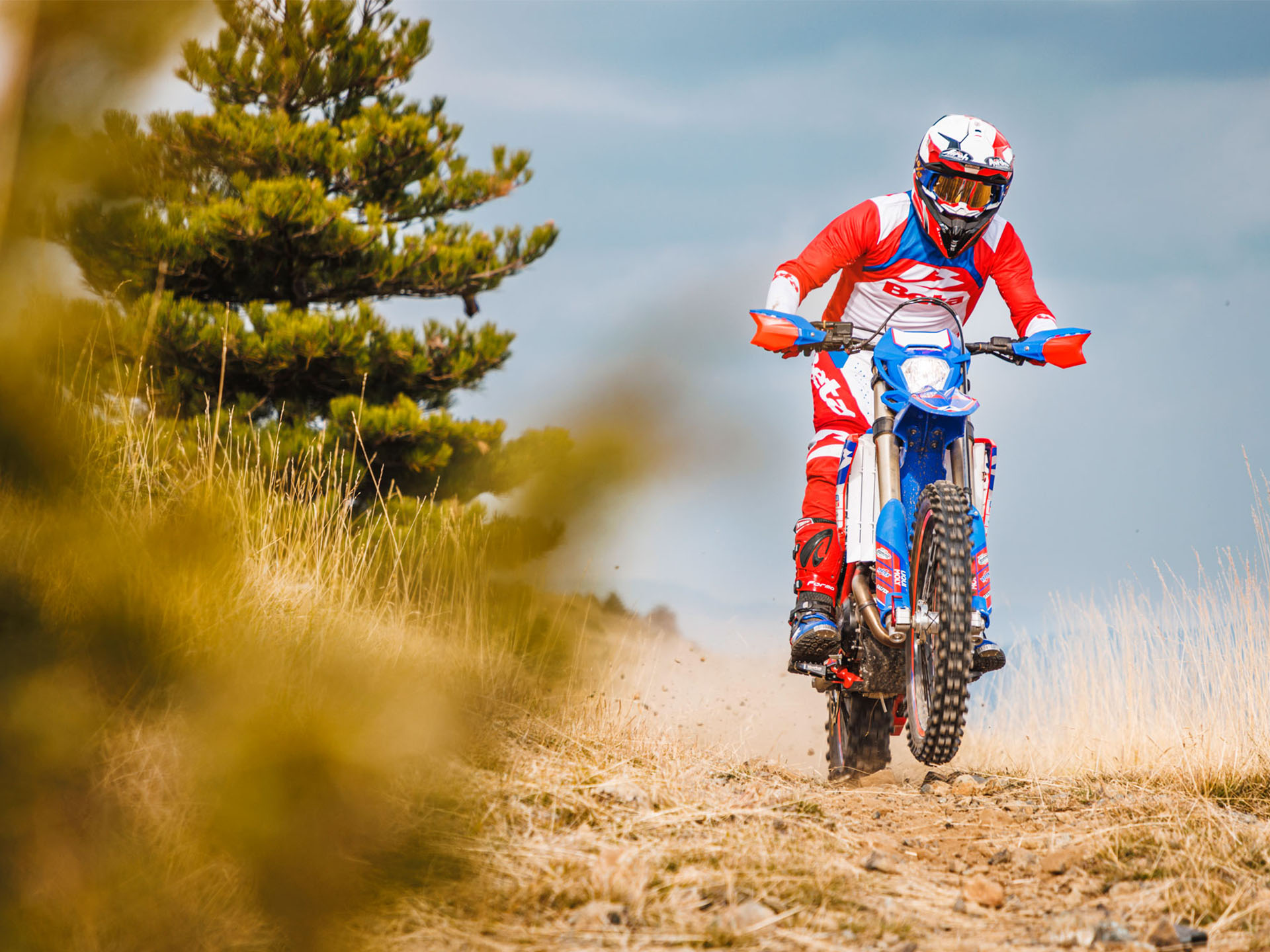2024 Beta 390 RR Race Edition 4-Stroke in Pinedale, Wyoming - Photo 7