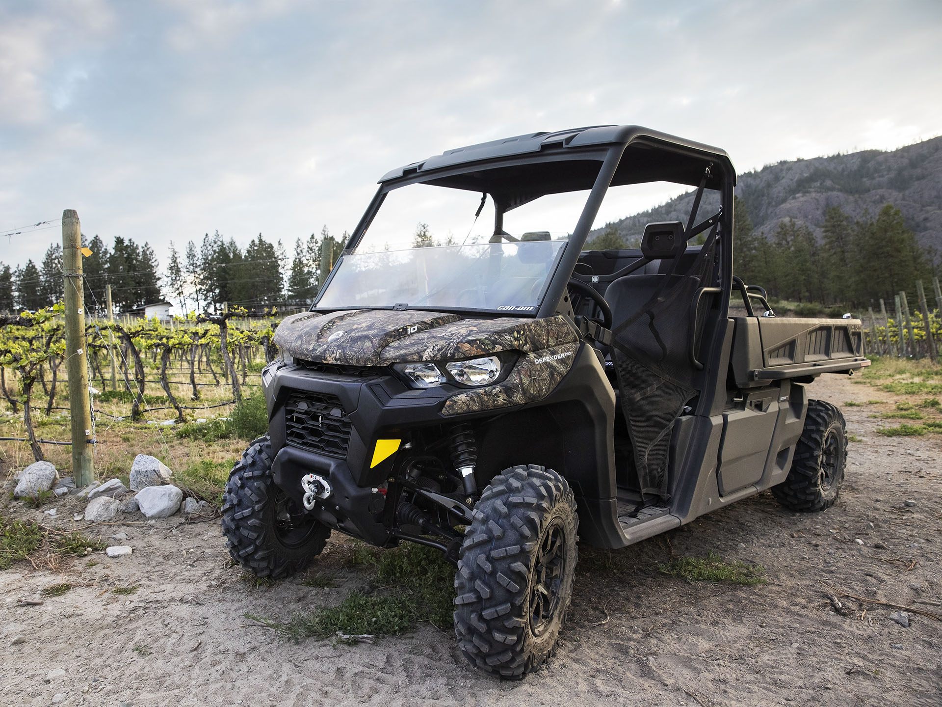 2022 Can-Am Defender Pro DPS HD10 in Island Park, Idaho - Photo 5