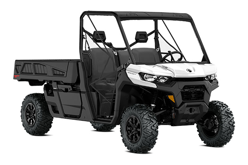 2022 Can-Am Defender Pro DPS HD10 in Conroe, Texas - Photo 1