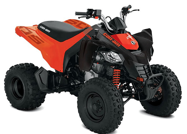 2023 Can-Am DS 250 in Kittanning, Pennsylvania