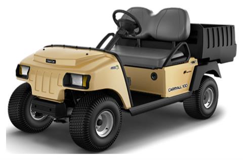 2021 Club Car Carryall 100 Electric in Ruckersville, Virginia - Photo 1
