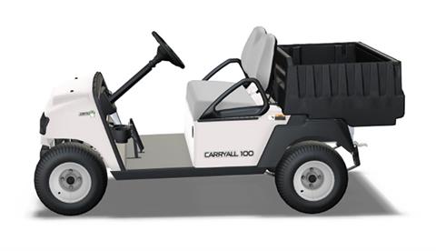 2024 Club Car Carryall 100 Electric in Devils Lake, North Dakota - Photo 2