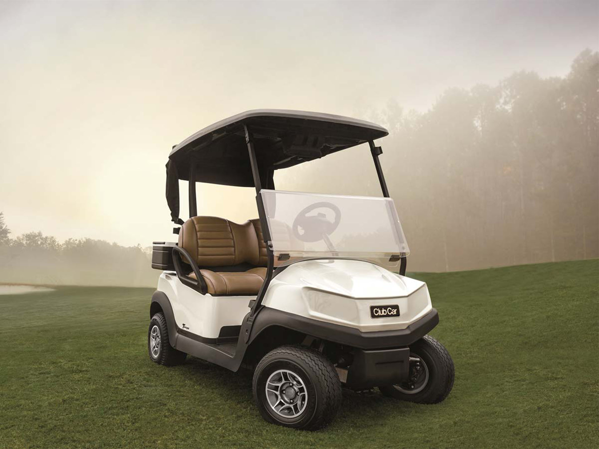 2024 Club Car Tempo Electric in Lakeland, Florida - Photo 6