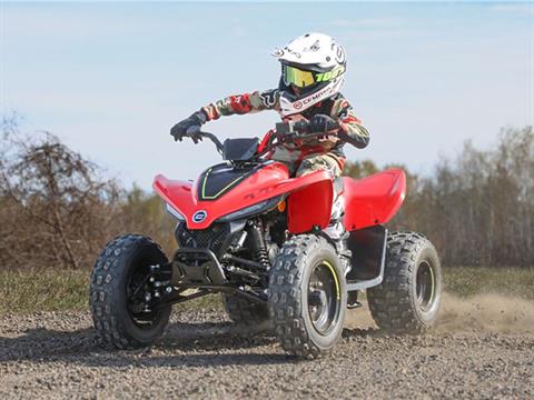 2023 CFMOTO CForce 110 in Newfield, New Jersey - Photo 10