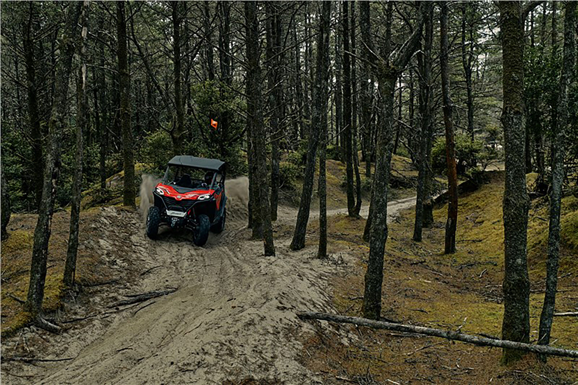 2024 CFMOTO ZForce 950 Trail EPS in Wake Forest, North Carolina - Photo 5