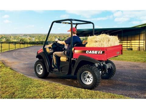 2015 Case IH Case IH Scout™  (Gas - 2 Passenger) in Purvis, Mississippi - Photo 6